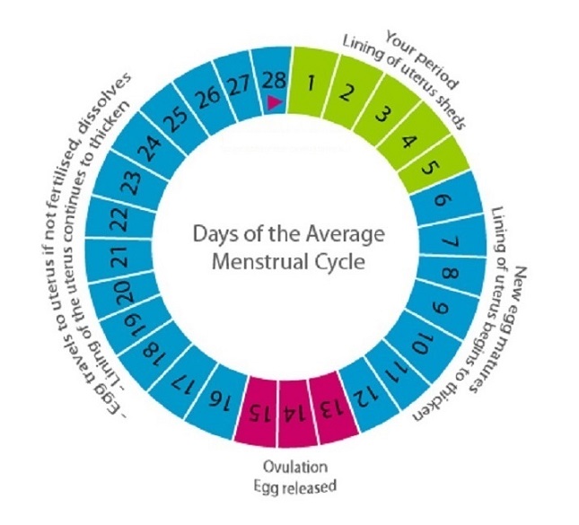 how to track ovulation to boost pregnancy chances