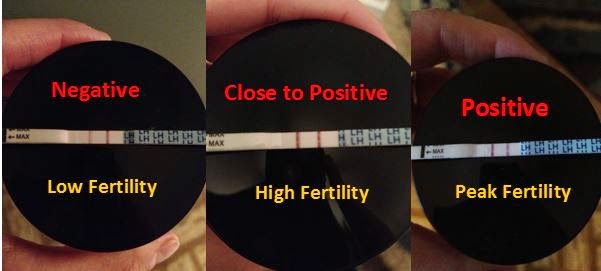 how to determine a positive opk result