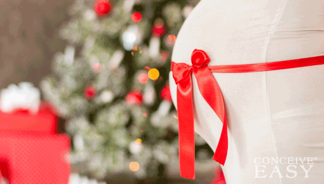 'Tis the Season to Conceive: Secrets of Conceiving in December