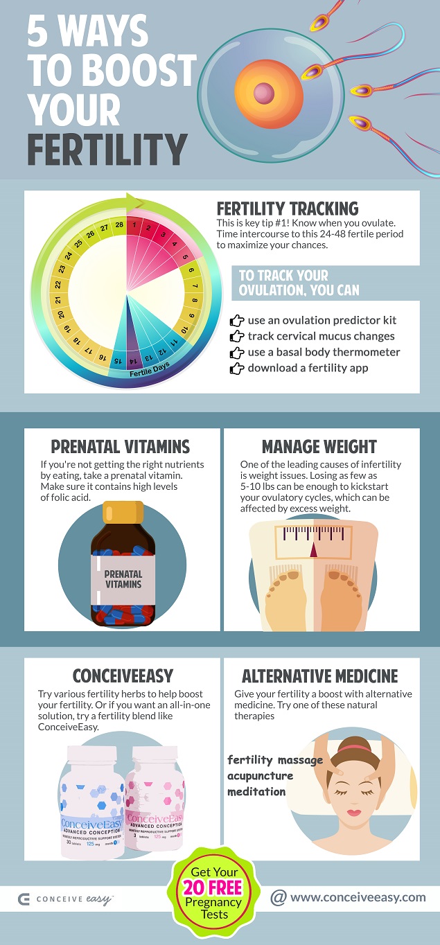 5 Ways to Boost Your Fertility Infographic