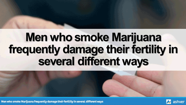 Marijuana and male fertility