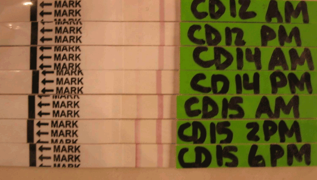 ovulation test results compared