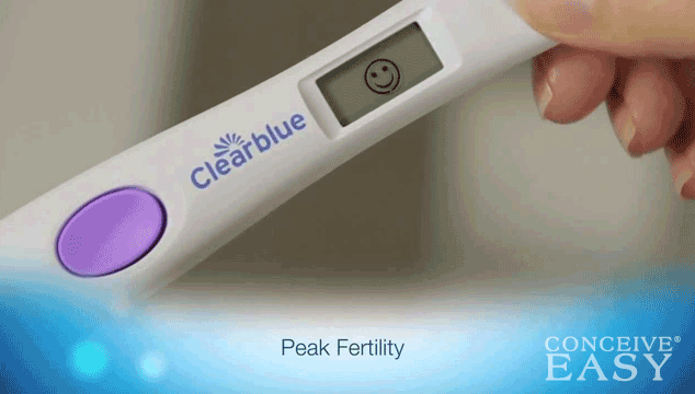 When Should I Have Sex After Positive Ovulation Test?