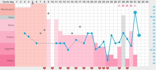 BBT temperature charting