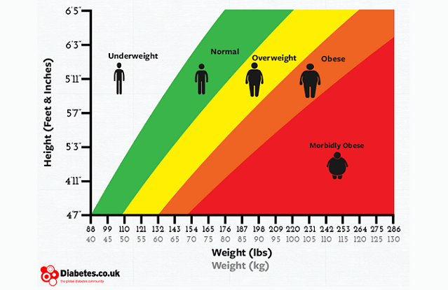 Body Mass Index Guide to Getting Pregnant