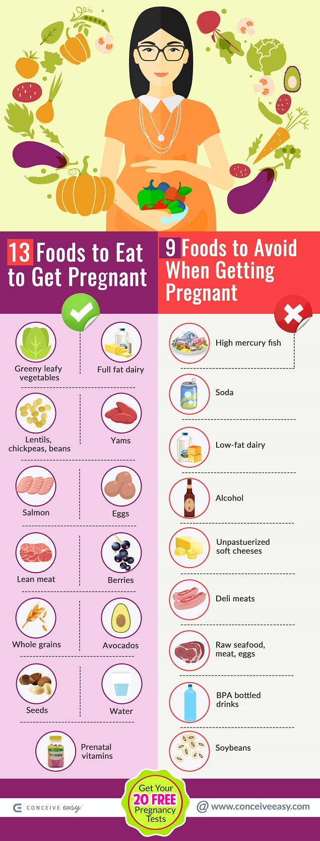 Foods to Eat + Foods to Avoid When Getting Pregnant Infographic