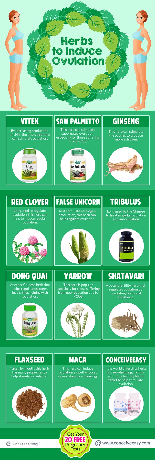 Herbs to Induce Ovulation Infographic