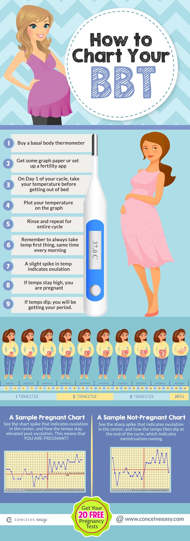 How to Chart Your BBT Infographic