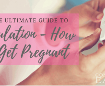 Ovulation---How-to-Get-Pregnant-The-Ultimate-Guide