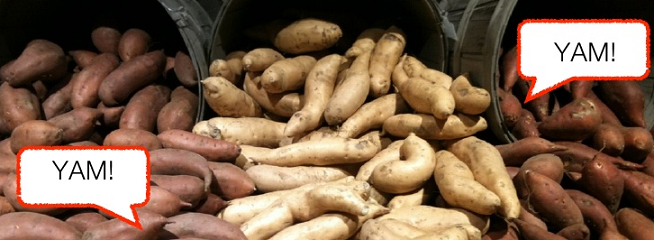 yams for fertility