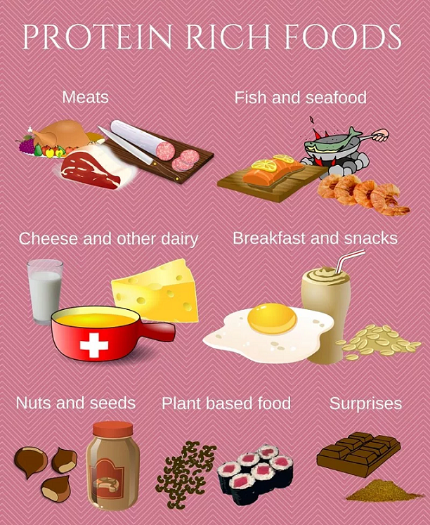 Protein rich foods