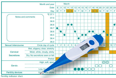 BBT thermometer and charting