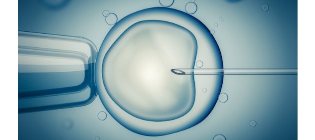 IVF-Procedure