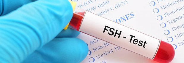 follicle stimulating hormone (FSH)