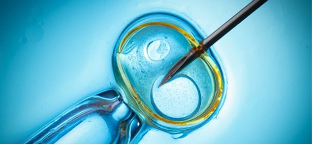 In vitro fertilization therapy