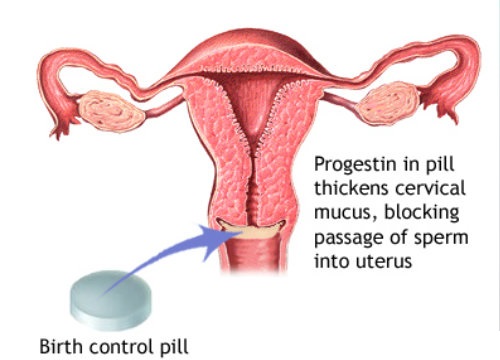 how birth control pills work