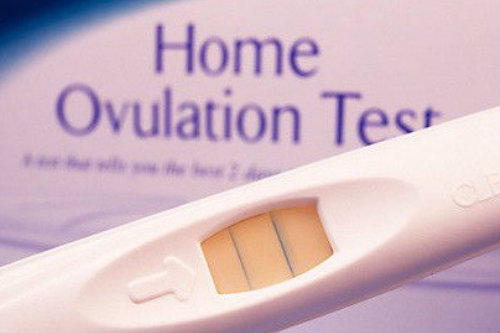 ovulation predictor kits