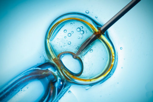 in vitro fertilization