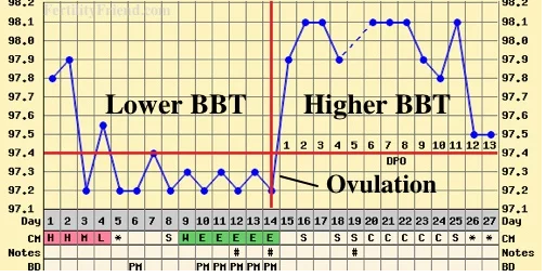 lower body basal temperatures