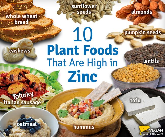 zinc enriched foods