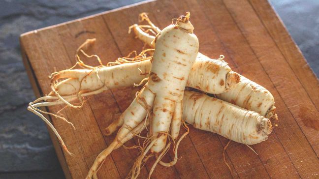 ginseng - herbs improve male fertility