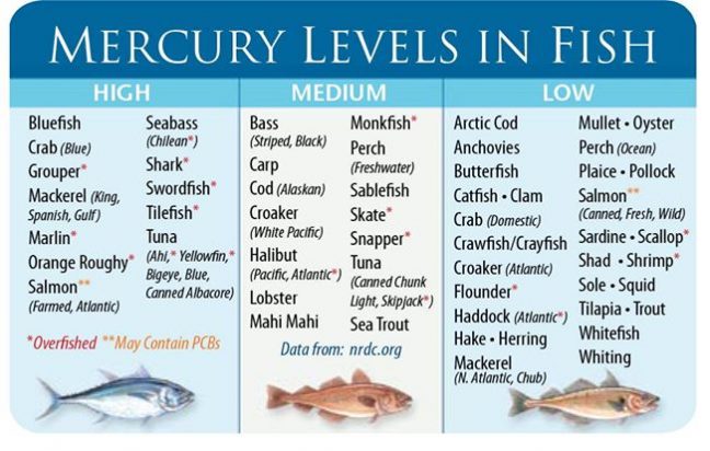 Fish that Have High Levels Of Mercury - Foods to Avoid during Pregnancy