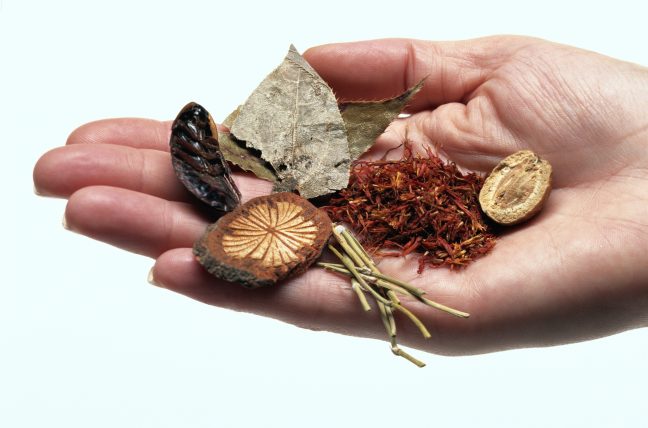 Women with PCOS use fertility boosting herbs