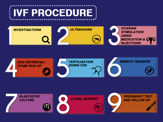 IVF procedure