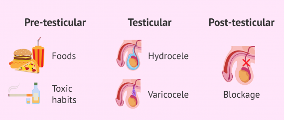 poor sperm production causes - causes of secondary infertility